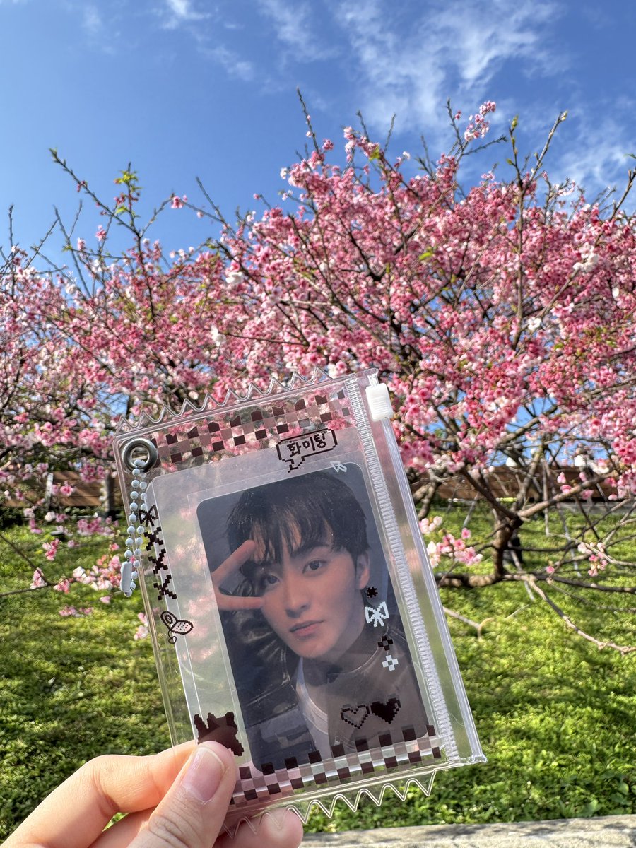 life update 🇹🇼 (i miss fangirling life)