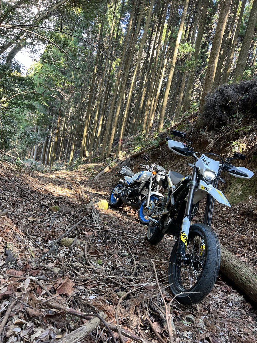 Shinsuke Kinoshita (@shin_kinoshita) / Posts / X