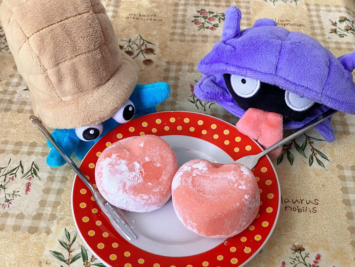 シェルダーとオムナイト tweet media