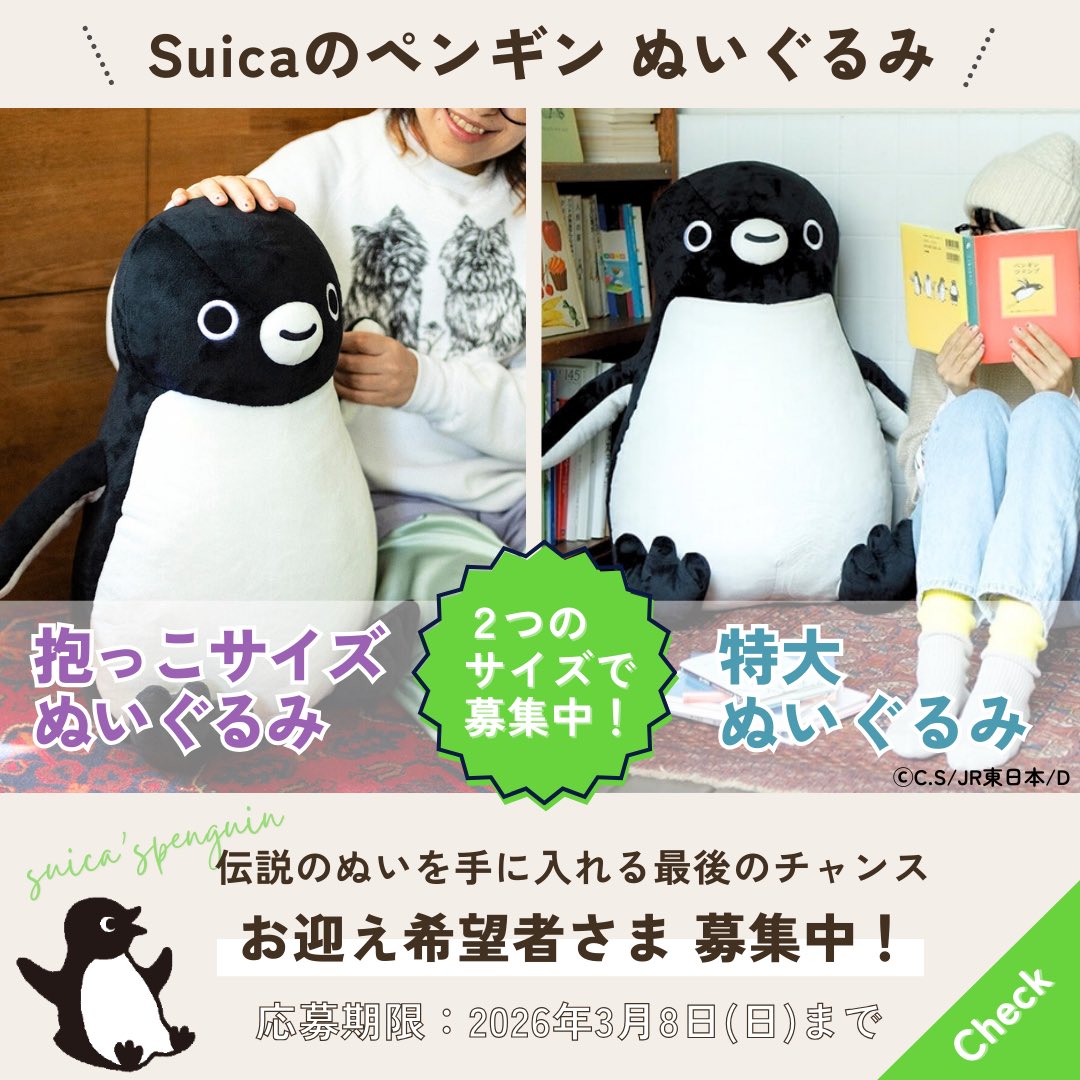 Suicaのペンギン 特大ぬいぐるみと抱っこサイズぬいぐるみのお迎え希望