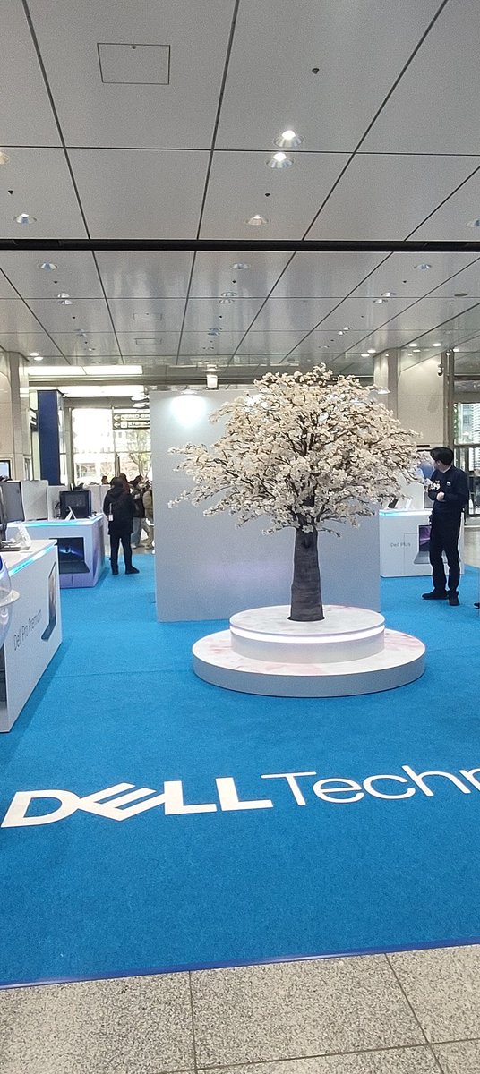 jun_iwa__ tweet media