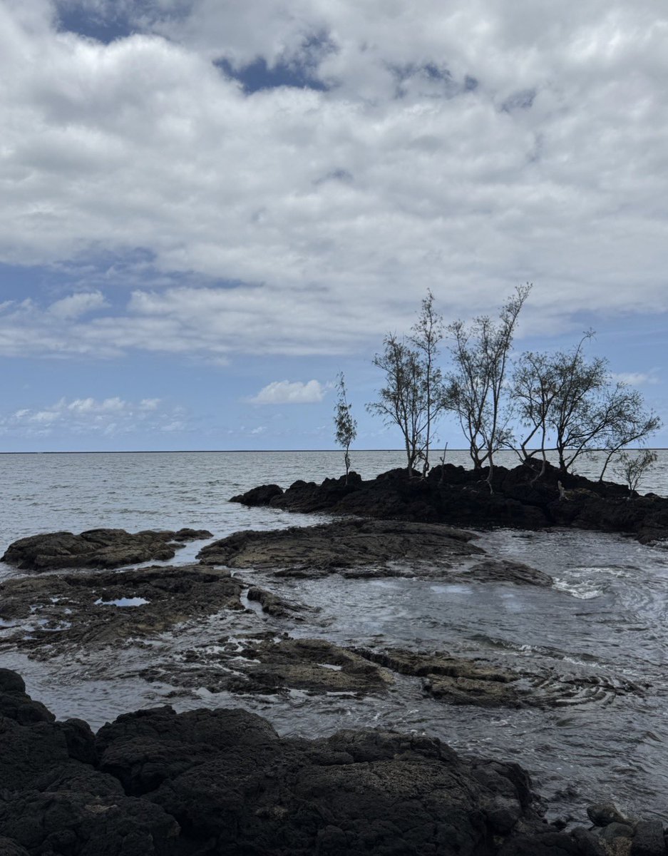 고구고미🐻🍠 tweet media