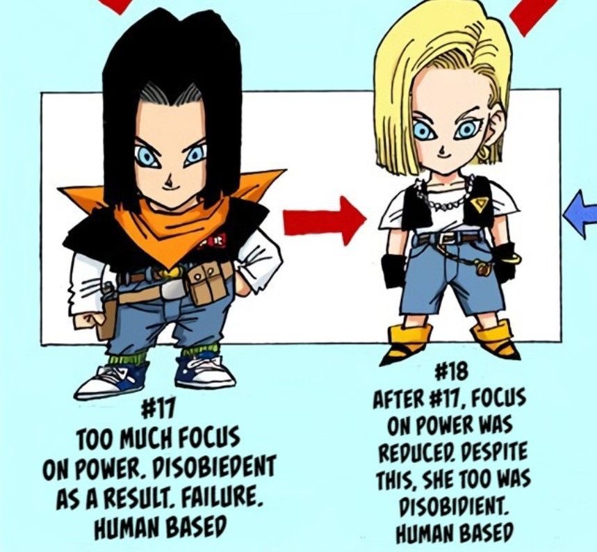 Daily Android 18 (@daily_android18) on Twitter photo 