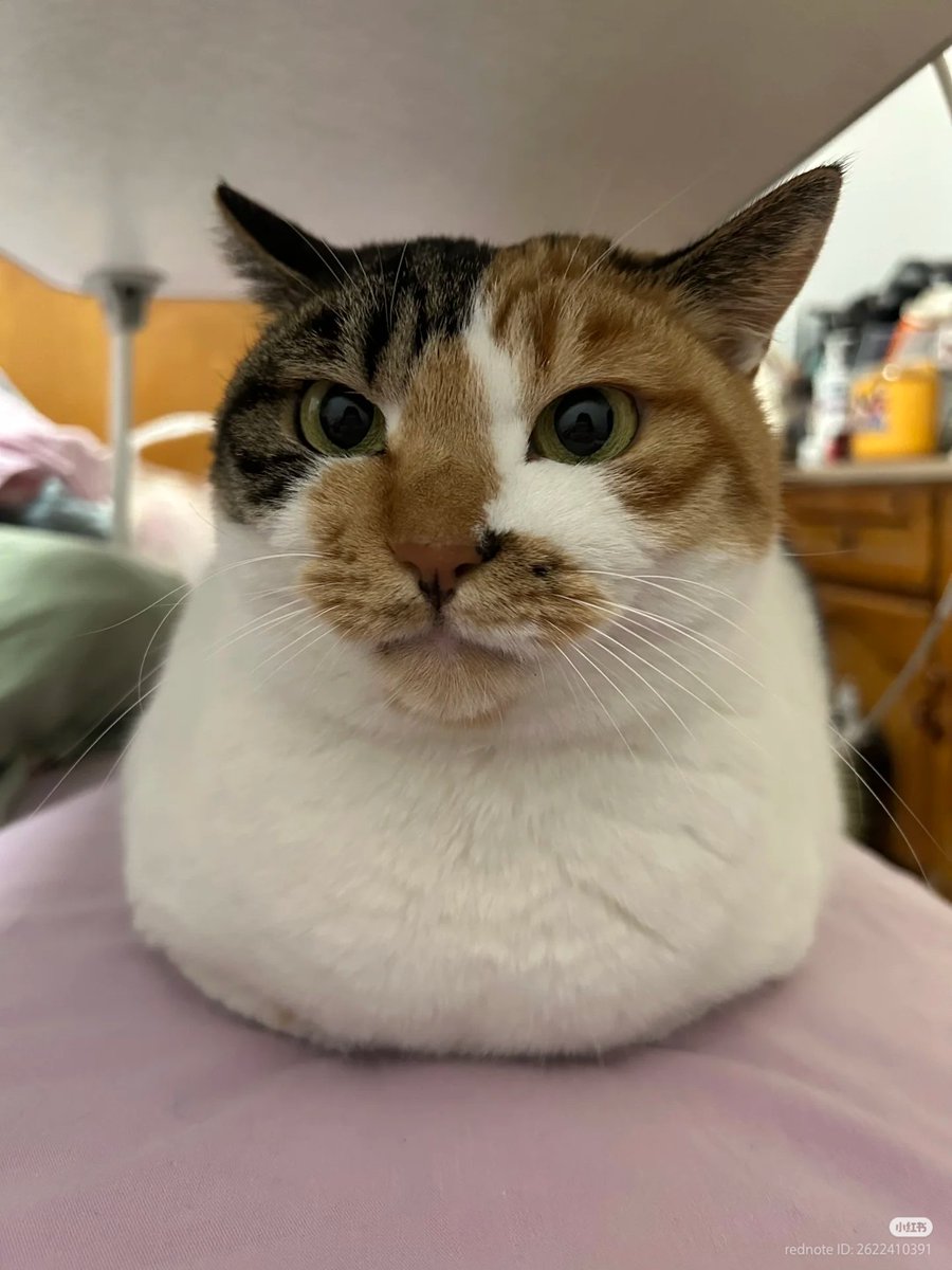 🍞