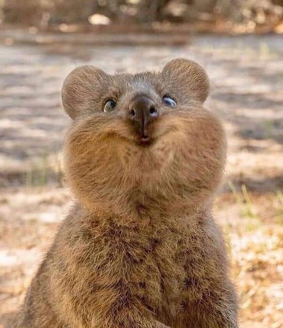 누가  누구인지