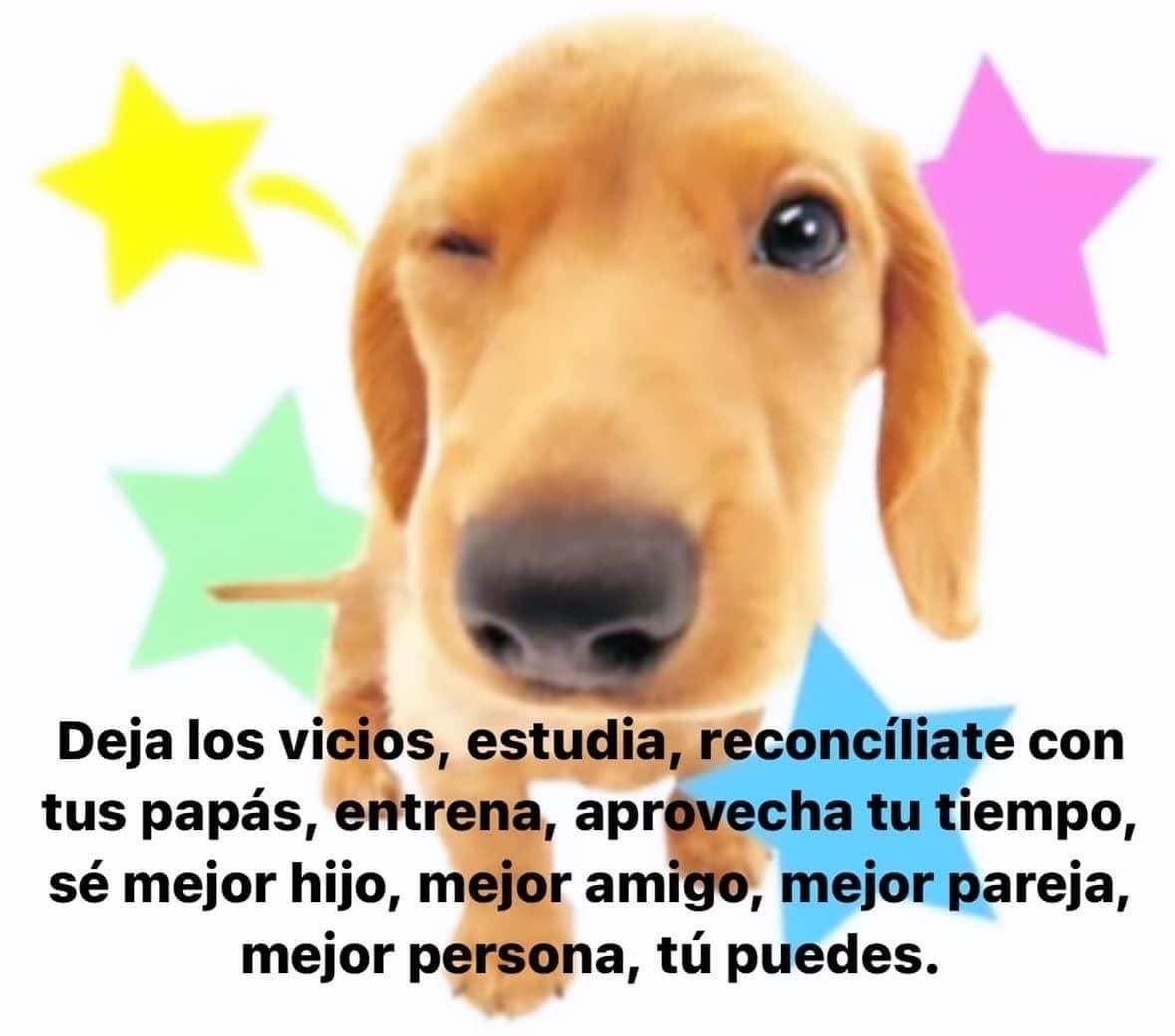 Ojos color sol (@ojoscol0rsol) on Twitter photo 
