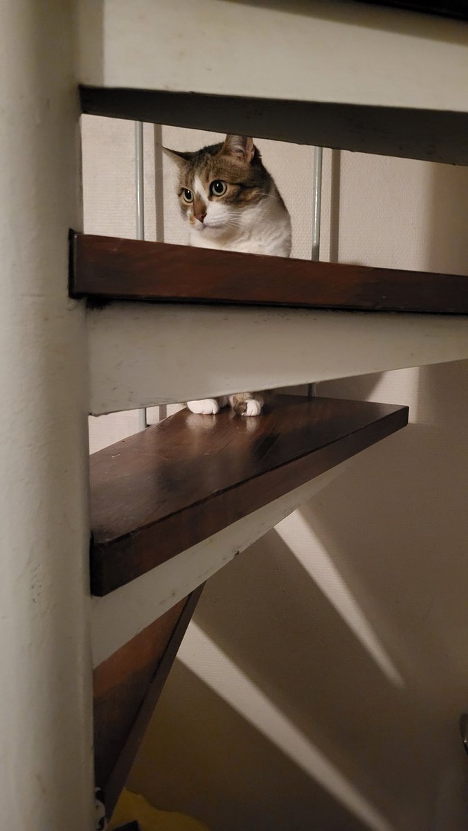 Une petite Pampa pour bien commencer la journée ?