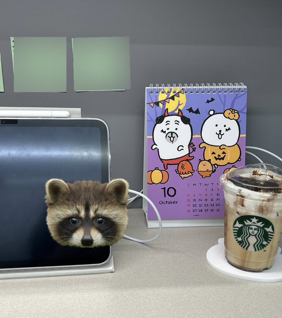 두다닥 tweet media
