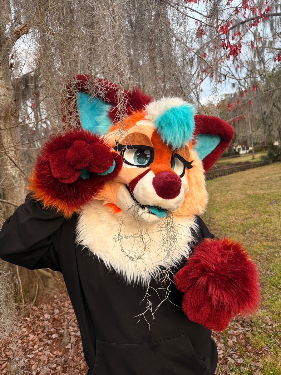 GalaxisFoxxo's tweet photo. Someone told me Spanish Moss was tasty...

#FursuitFriday https://t.co/FIfjFXXTGE