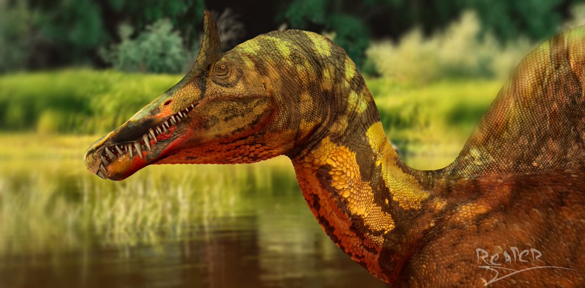 New species of Spinosaurus just dropped!! 🗣️

Paleo-photobash made by yours truly!