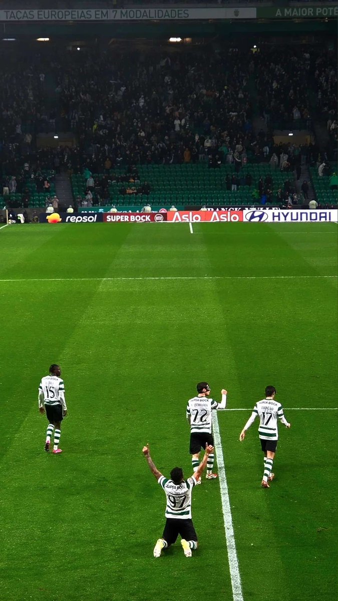 Sporting CP Pictures That Go Hard tweet media