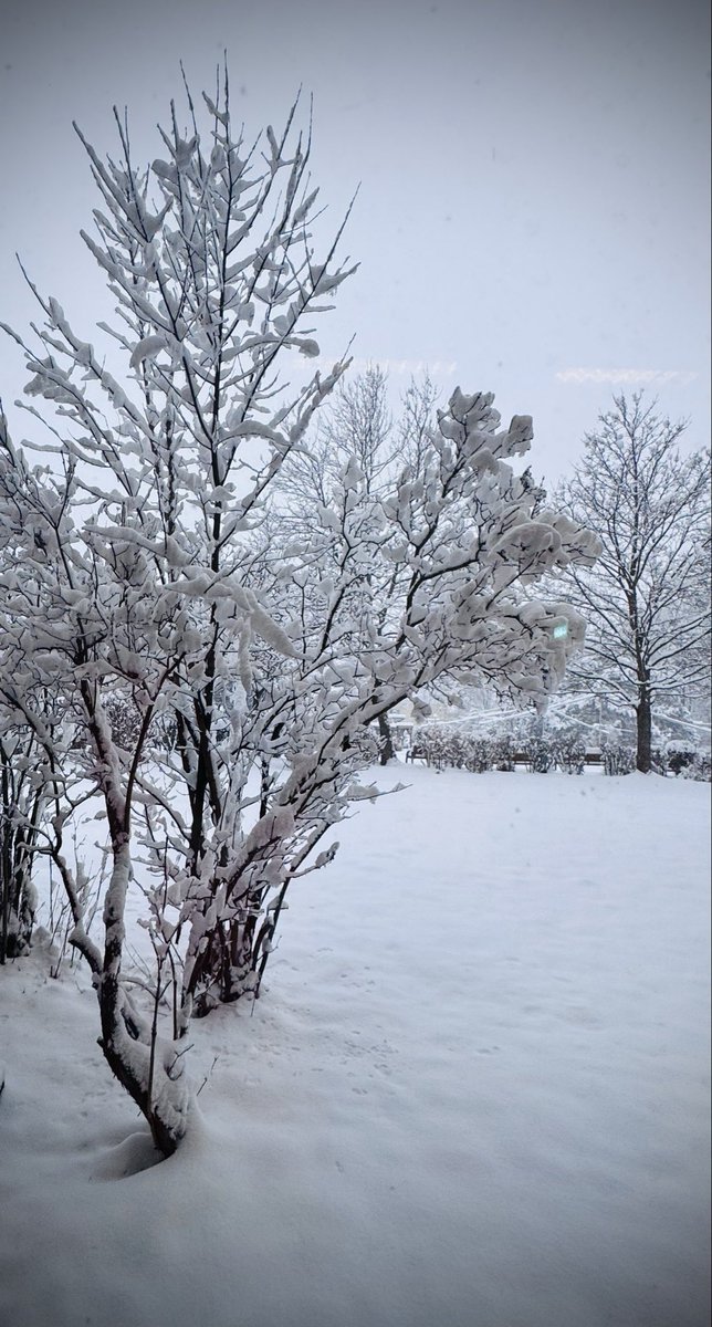 Spirelli79's tweet image. Ordination mit #Aussicht #Winterwonderland #doconduty
