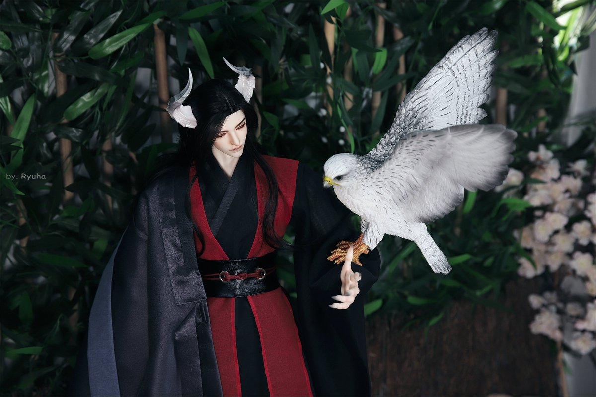 { IVY SHOP 아이비샵 } - 3/28 부프젝 tweet media