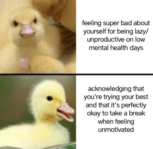WholesomeMeme's tweet photo. https://t.co/0dv4MVNmY0