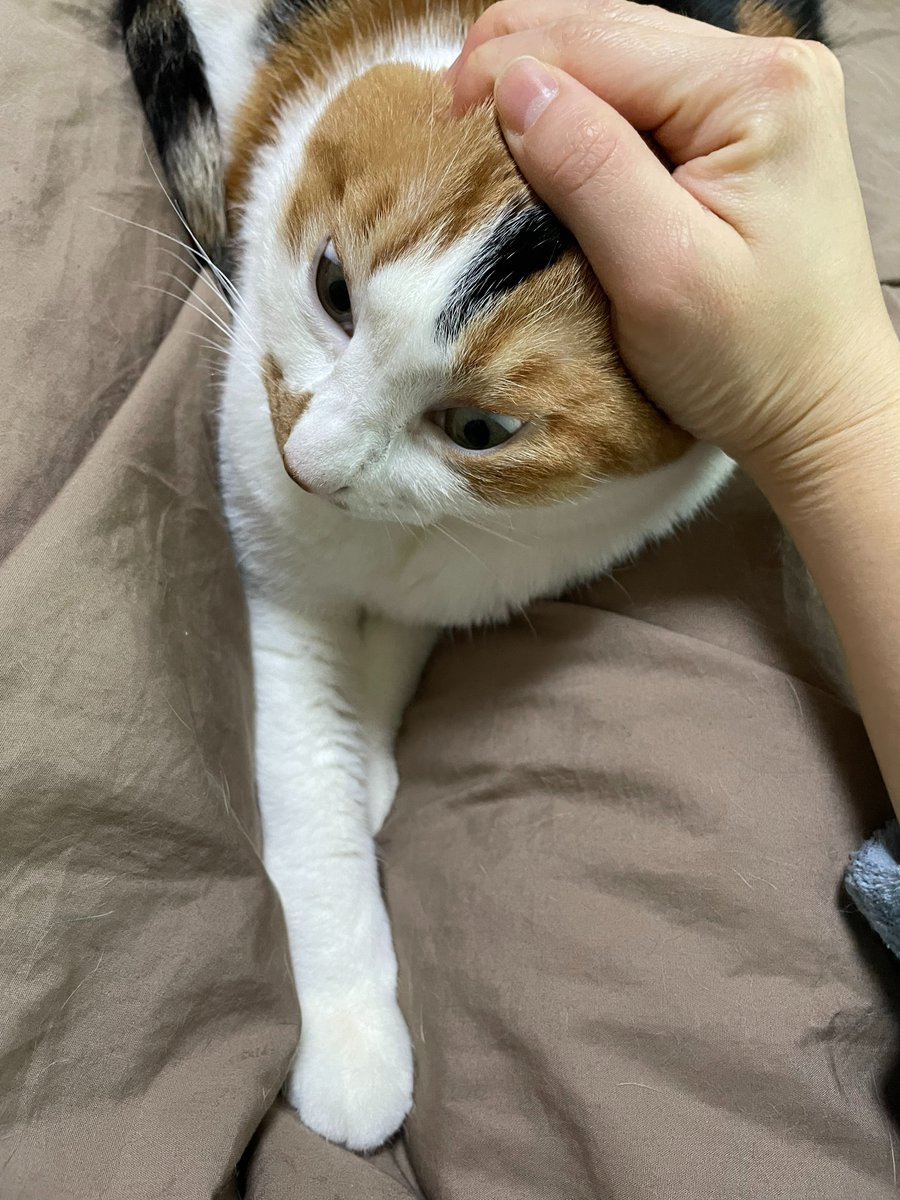 ou_wol's tweet image. 아냐 나 무서워!!!!!!!!!!!!!!!!