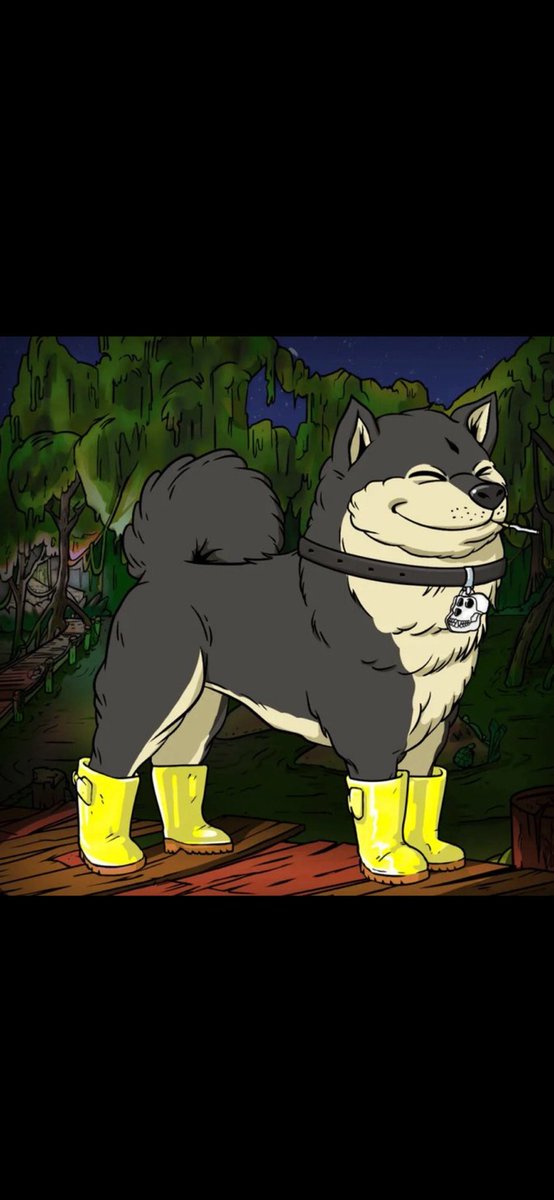 Are there any Bored Apes left that I do not follow? Mutants, doggos, Kodas?  Let me know, I wanna follow you all. #bayc