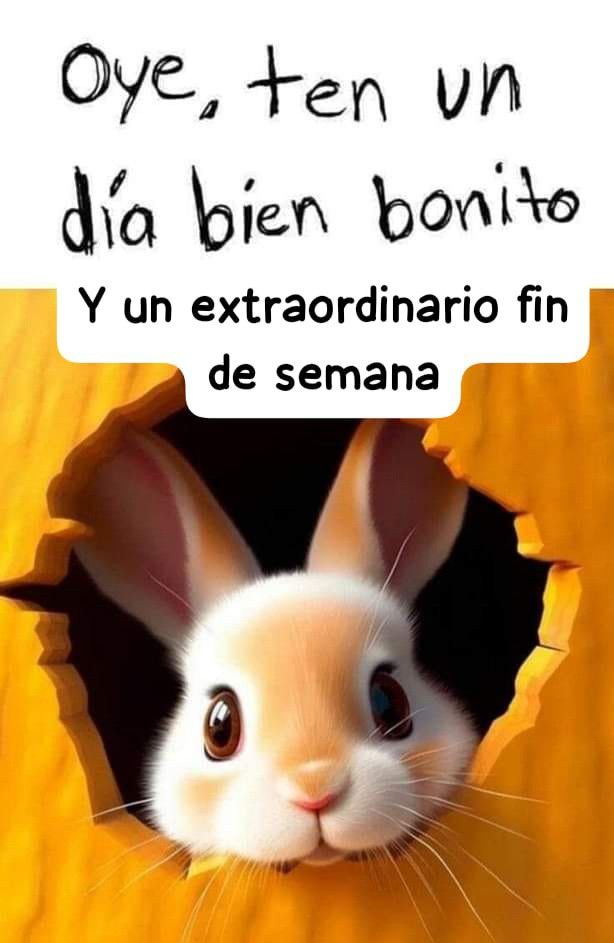 Buenos días! Viernes ☕️🤍🤍⚘️🌺