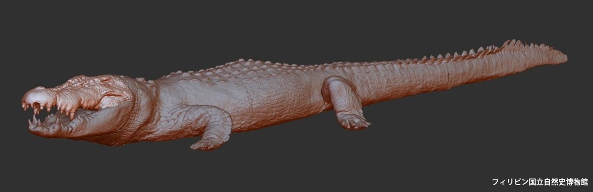 【公式】超危険生物展 tweet media