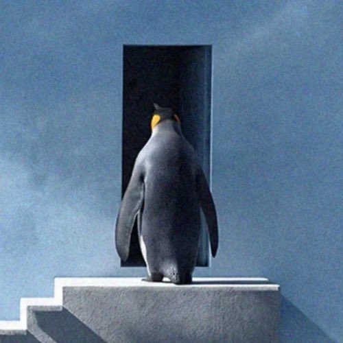 theogtrencher's tweet image. Will apply for the Pumpfun Hackathon today. Lots of projects already applied and some winners were already chosen. The deadline is now 25th of this month.

Let's $PUSH to exit