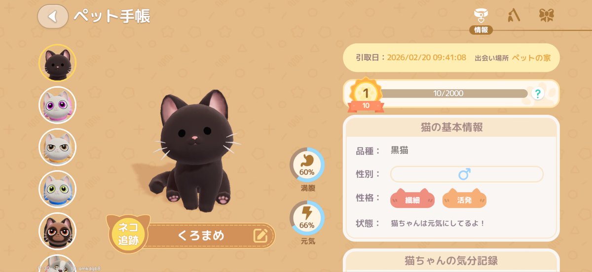 猫ちゃん10匹目のお迎え ☆150使います！！ 黒猫🐈‍⬛ちゃんお迎え( ´艸`)