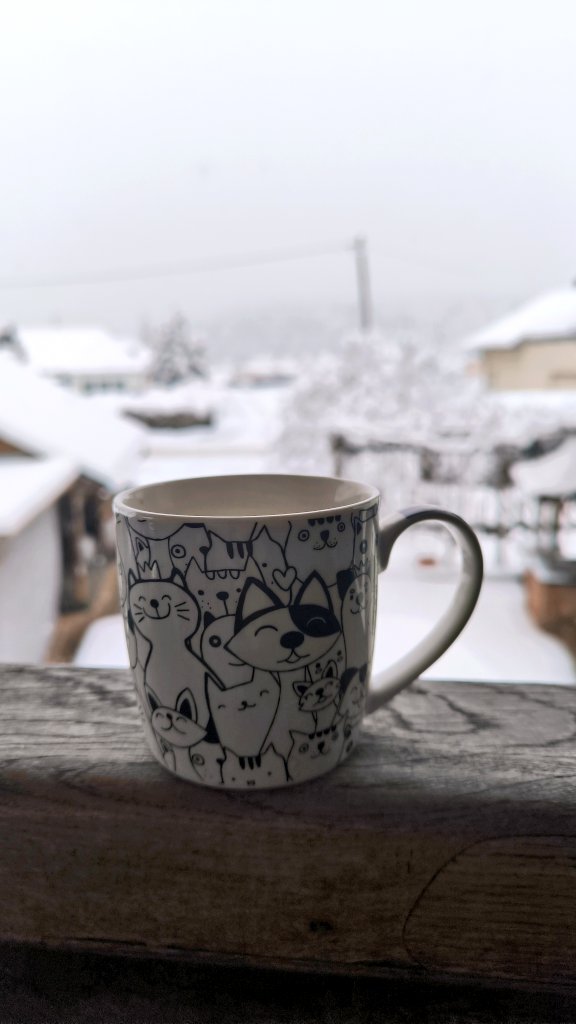 vogrinčeva tweet media