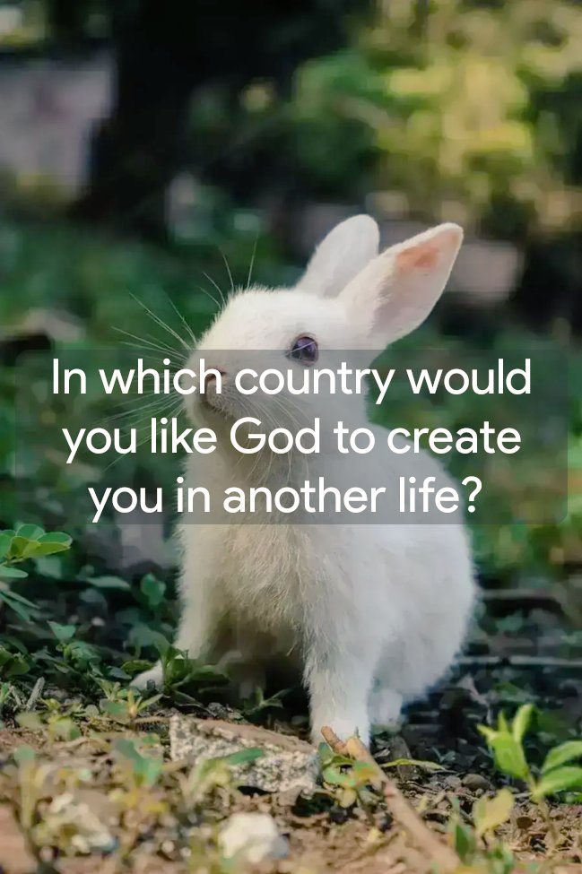 Dans quel pays aimerais-tu que Dieu te crée dans une autre vie?

#Creation #Vie