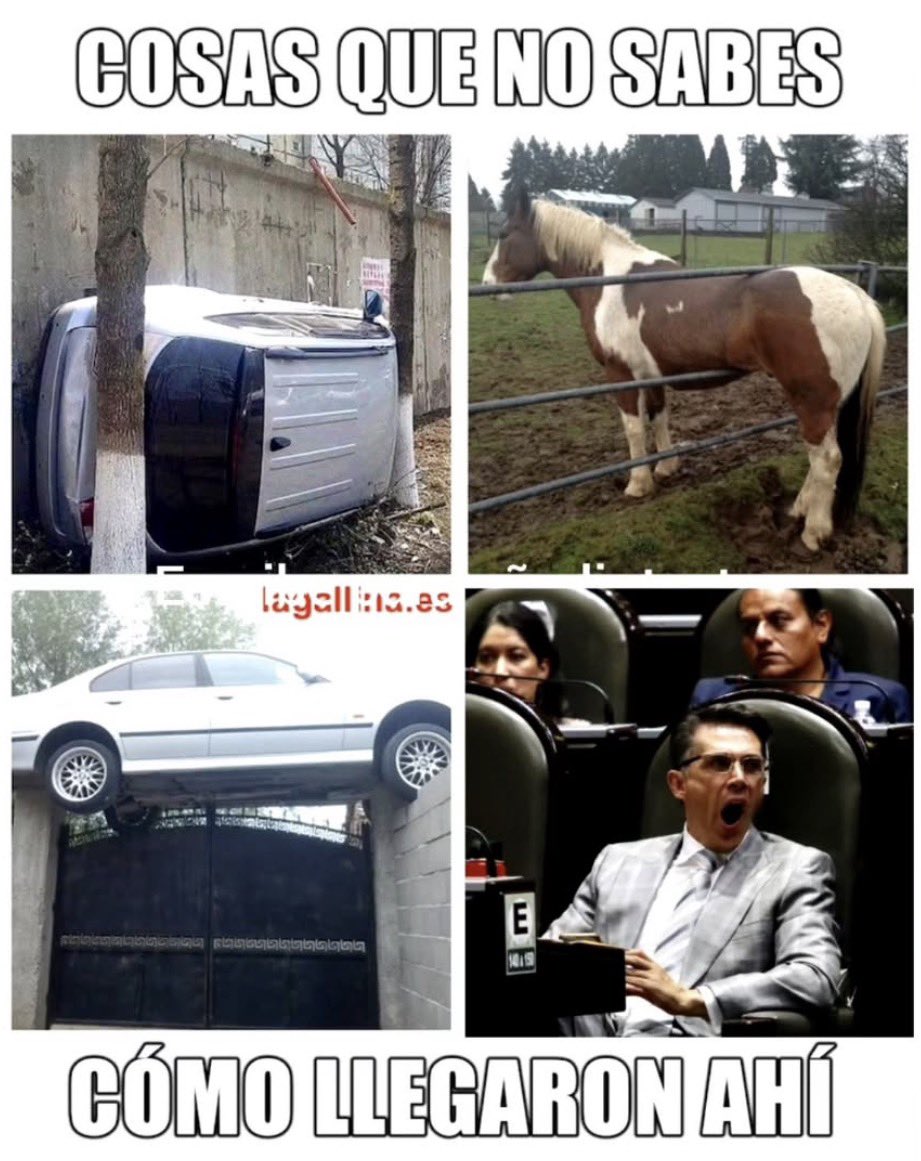 #ViernesdeCrueldad
<a href="/DenDeLaFuentee/">Den de la fuente</a>