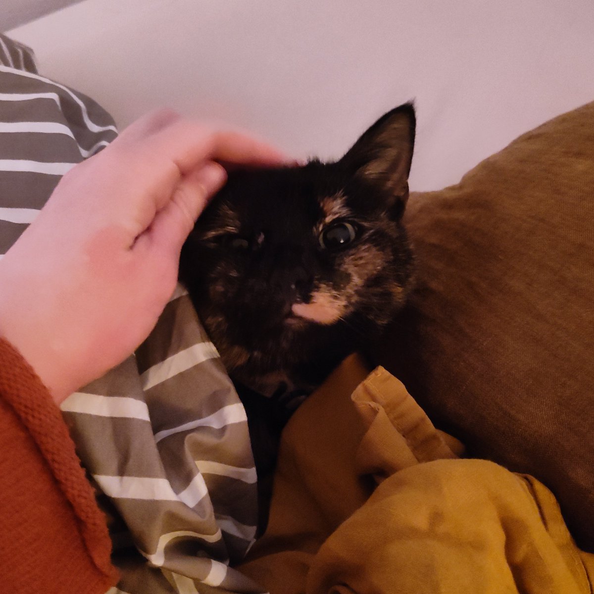 Jibril 🪬 جبريل tweet media