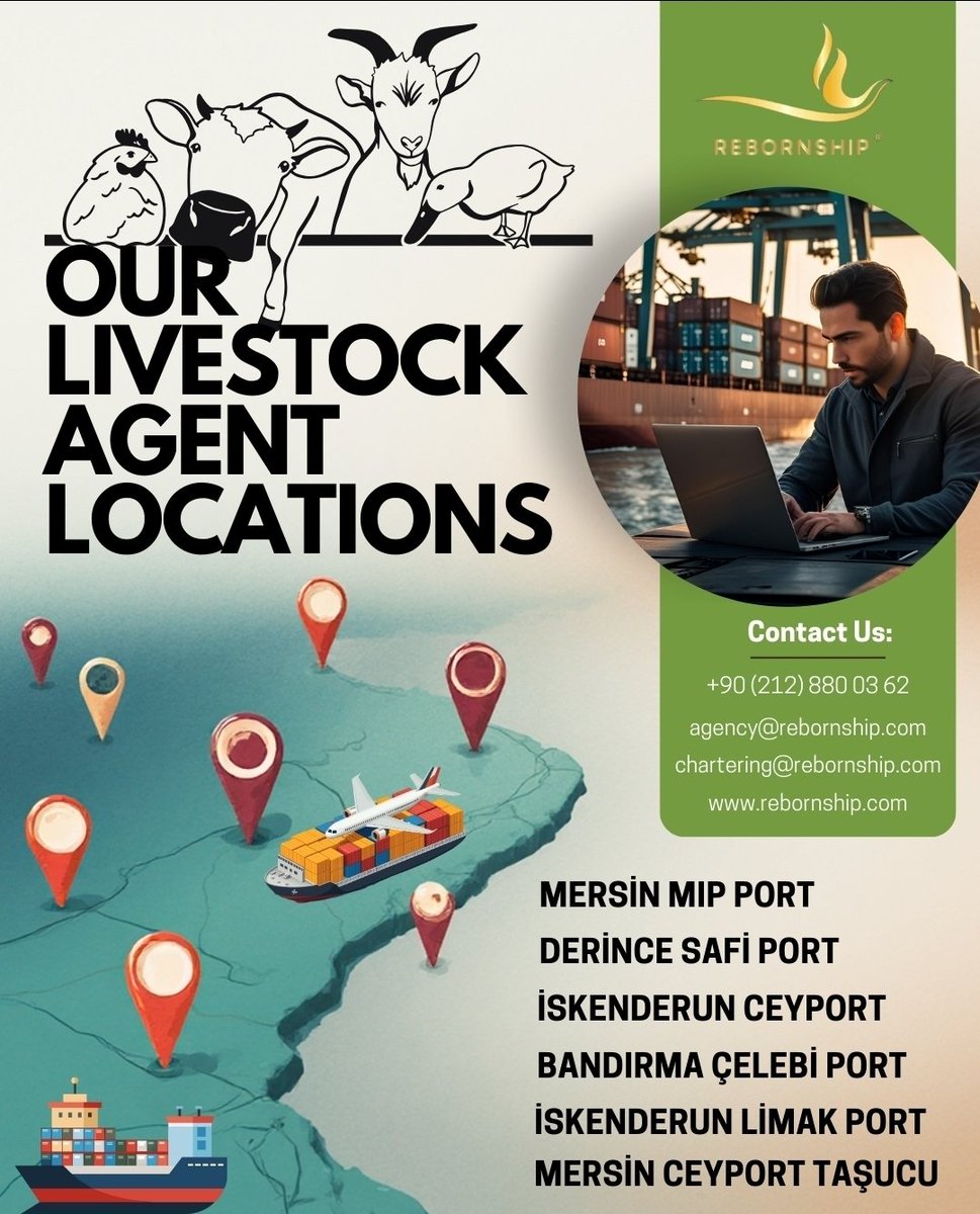 Rebornship Livestock Services - agency@rebornship.com - Turkey 🇹🇷