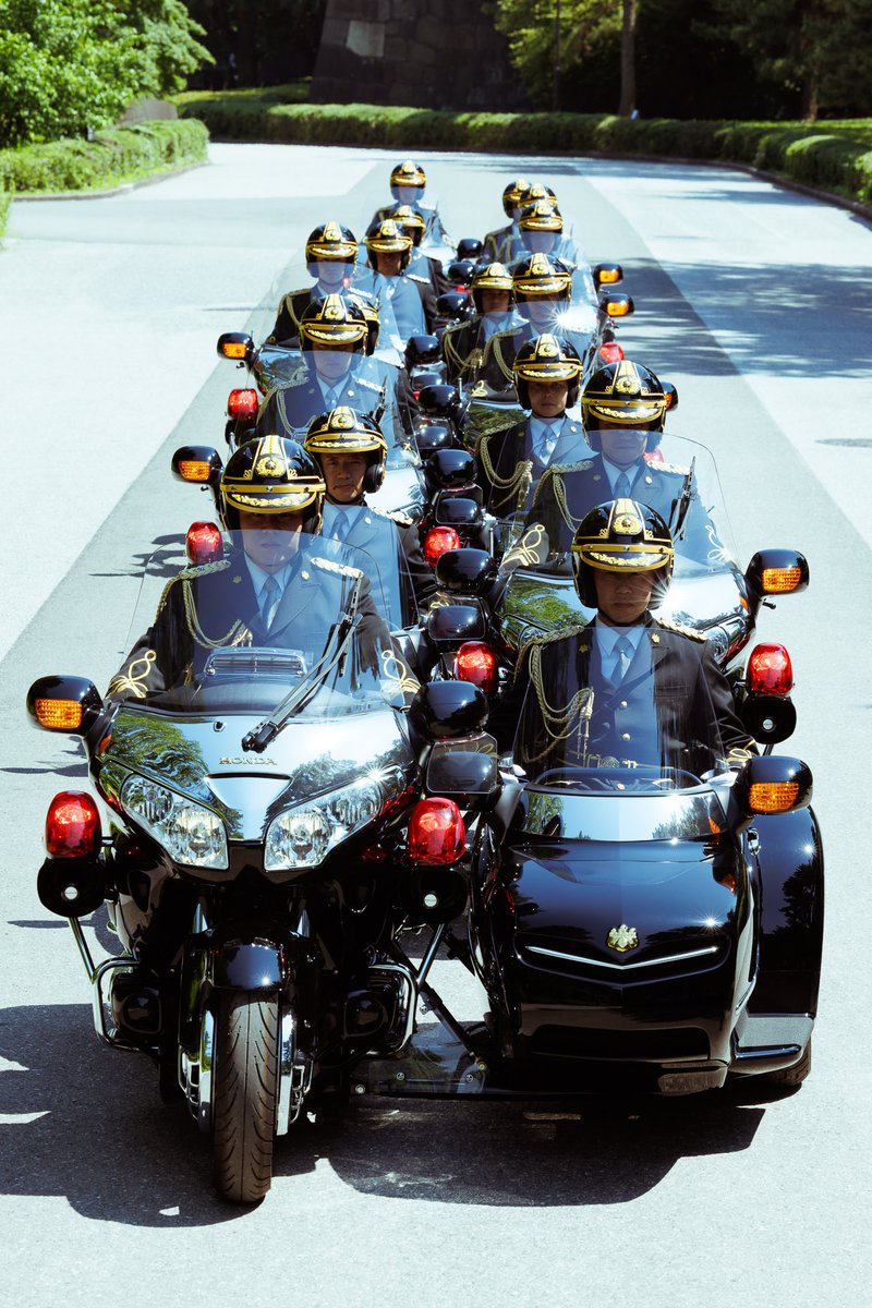 佐藤健寿 tweet media