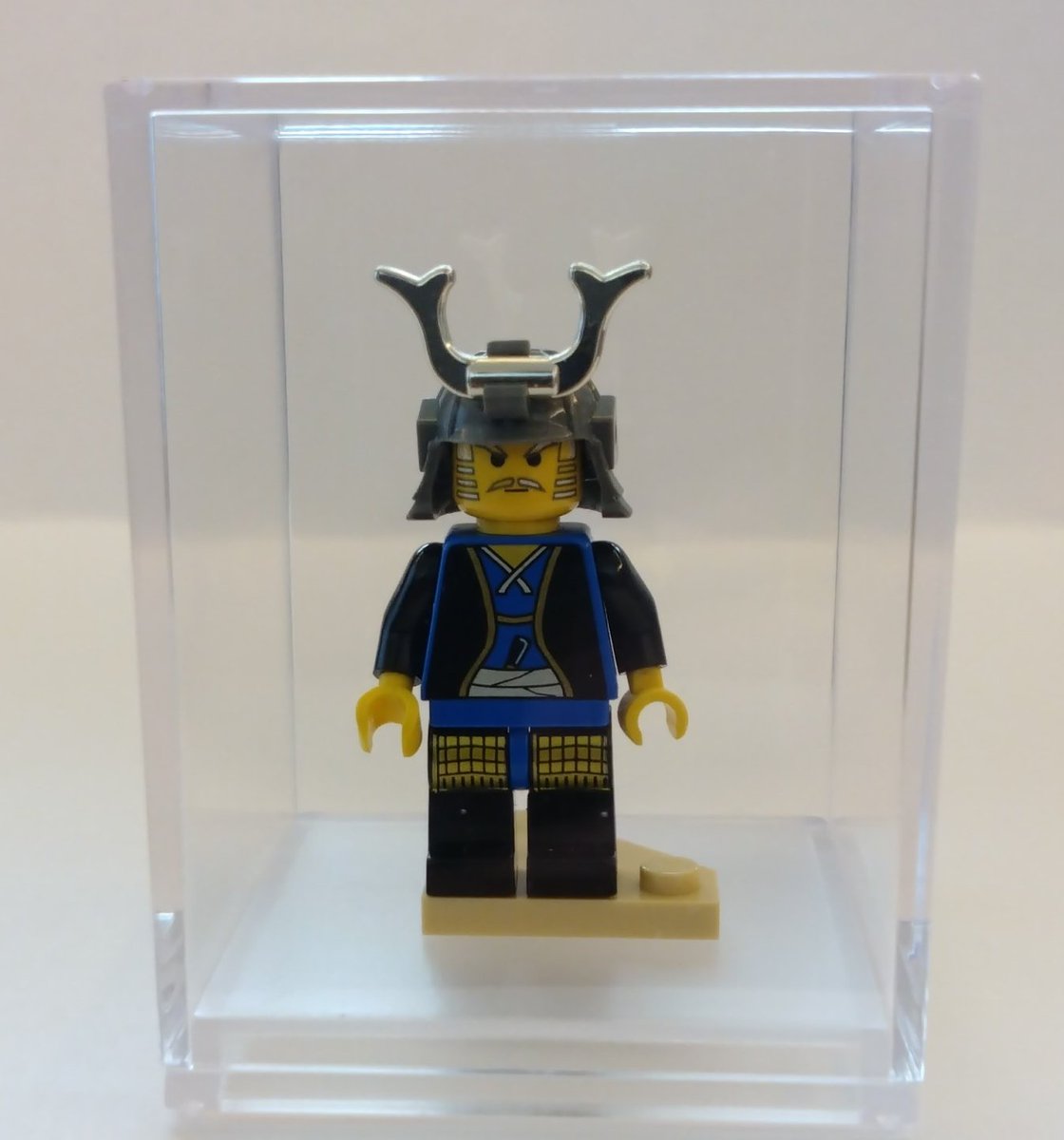 ひまわり tweet media