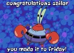 Steve Whittle (@stevewhittlefl) on Twitter photo 