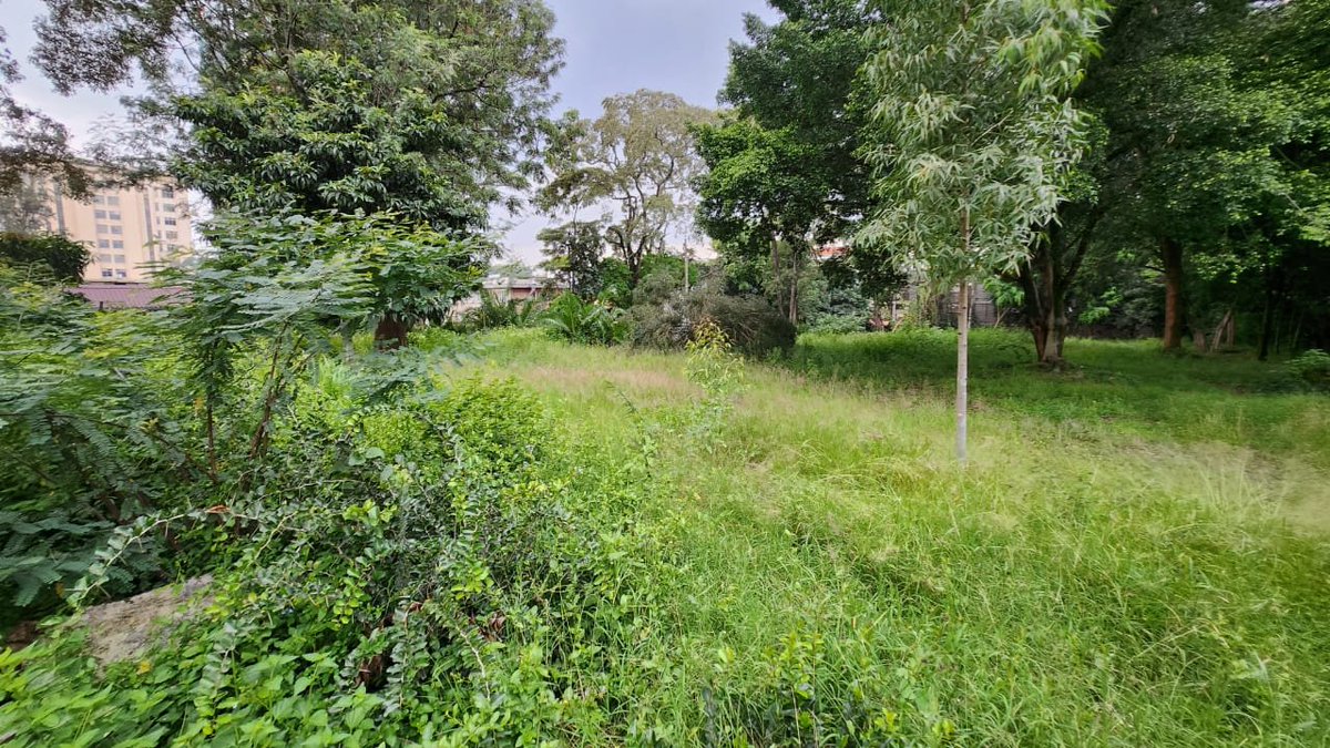 edlon_group's tweet photo. For Sale: In Upperhill and
Located in the  neighbourhood of Nairobi and close to NCBD. The acres consists of 1.2 acre and 1 acre respectively 
 Asking price ksh.520m per acre

Please note that the titles are separate and so one can buy one parcel.
Call 0790 999095 https://t.co/lggtEjoNko