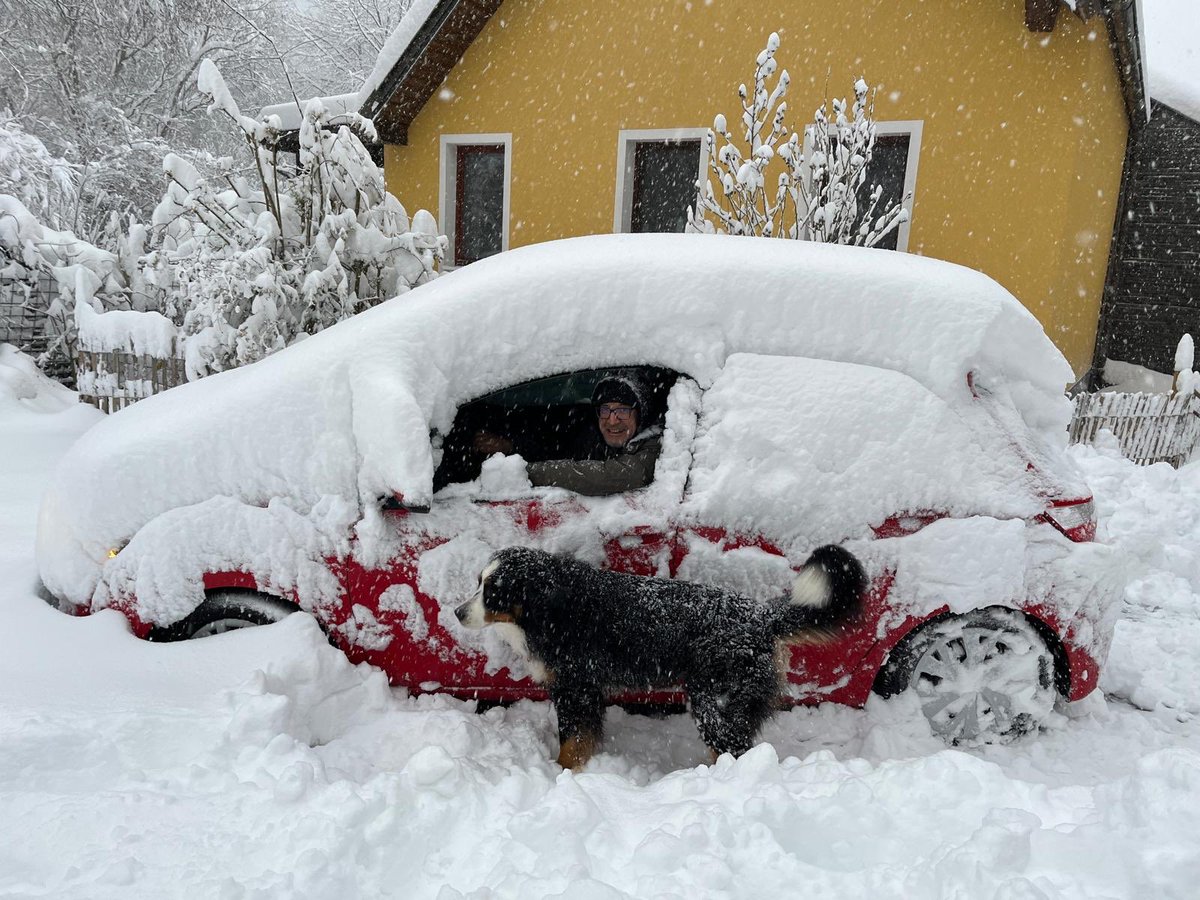 jürg christandl tweet media
