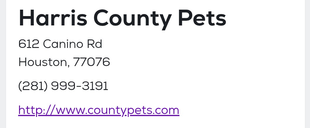 itsadogslifersq's tweet photo. #Adopt #BFF NOVA or #foster at ZERO COST w/a #RESCUE!
Save the life of your #BestFriend at high-kill "shelter" #HarrisCountyPets in #Houston #TX
#adoptable #adoptadog #texasdog #lonely #houstonbestie #HoustonSingles
Out of state adoption possible‼:
https://t.co/St2pmNcySf https://t.co/nzzID0X0DR