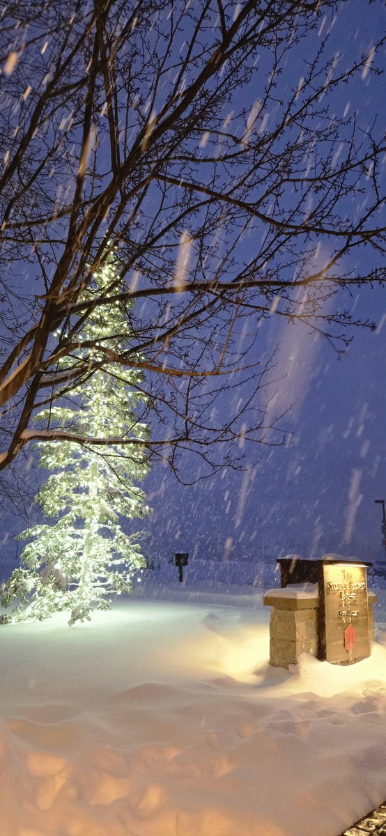 thedesertfox007's tweet photo. Snowfall at night.... the night sky was this color it was so spectacular... I was happy to snap this picture and see it captured xom #desertfox https://t.co/CAtZZoOZUB