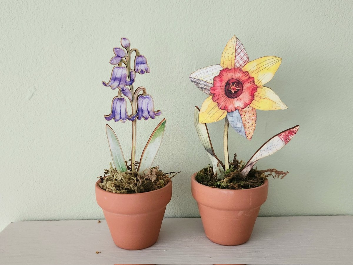 The Blueberry Patch tweet media