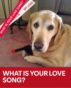 sunveanh's tweet photo. Biblically accurate tannies asking "What's your love song?" https://t.co/M9WdGCDL12