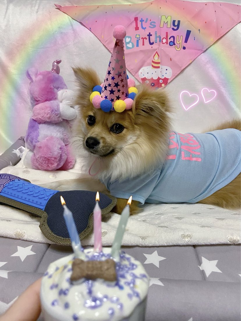 dsy🪄ia tweet media