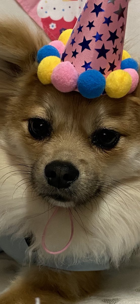 dsy🪄ia tweet media