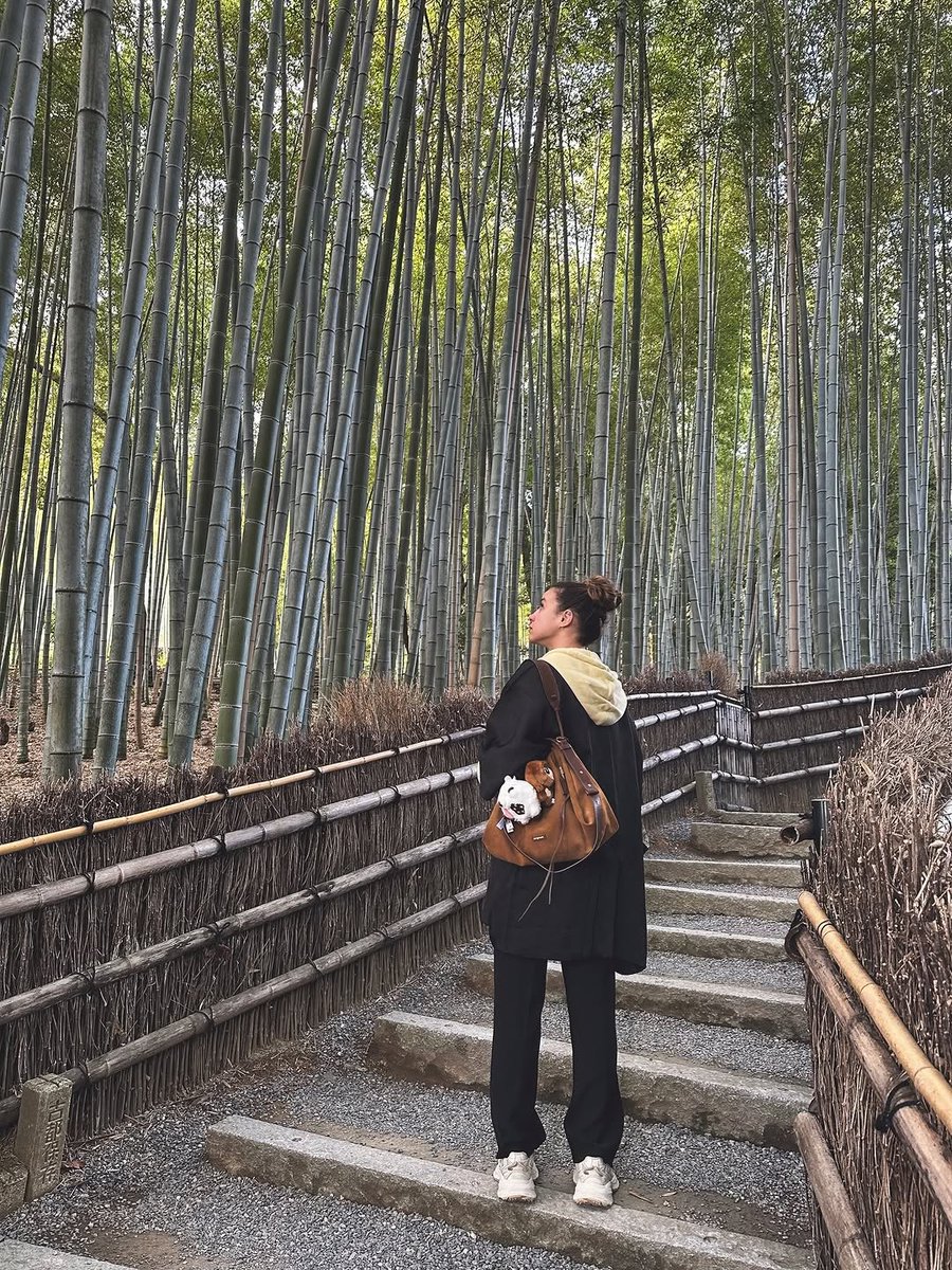 MSimmons73603's tweet photo. Life has been good lately - a bit of Japan 🇯🇵♥️

Tokyo - Hakone - Kyoto - Nara https://t.co/v28Aj25FC1