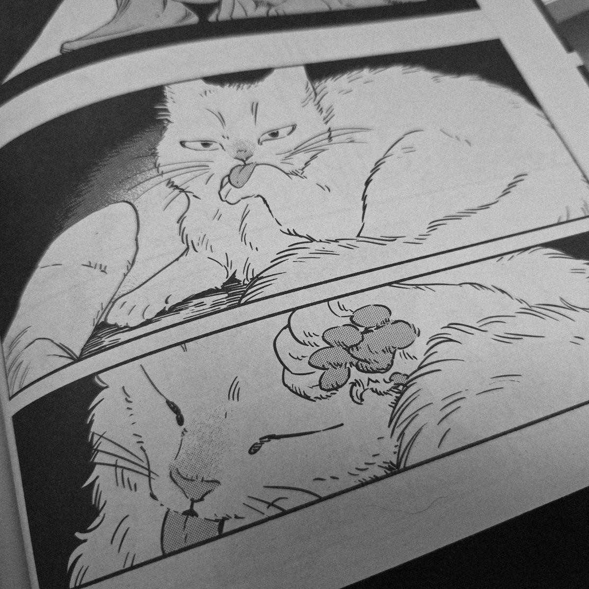 本日20日発売の「週刊漫画TIMES 3/6号」に読切「エリーのぬくぬくの冬」掲載していただいております🍲よろしくお願いします🥶 