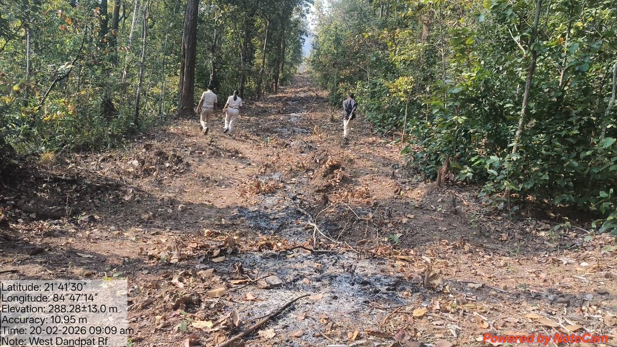 DfoBonai's tweet photo. Division Level Evaluation Team inspected and #checked fireline works of S. Bolang Section under Bonai Range, focused on quality, maintenance, and #preparedness to ensure effective forest fire prevention ๐ฅ๐ฅ๐ฆบ๐ณ๐ณ๐ณ๐ณ
@pccfodisha @Prem_CWLWOdisha
@RourkelaRc79045 https://t.co/UjG5fp6FiW
