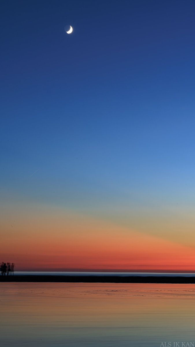 メダカちゃん tweet media