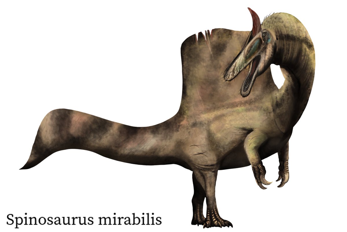 Tyranno-san/ティラノさん (@TYrannoSAn54342) / Posts / X