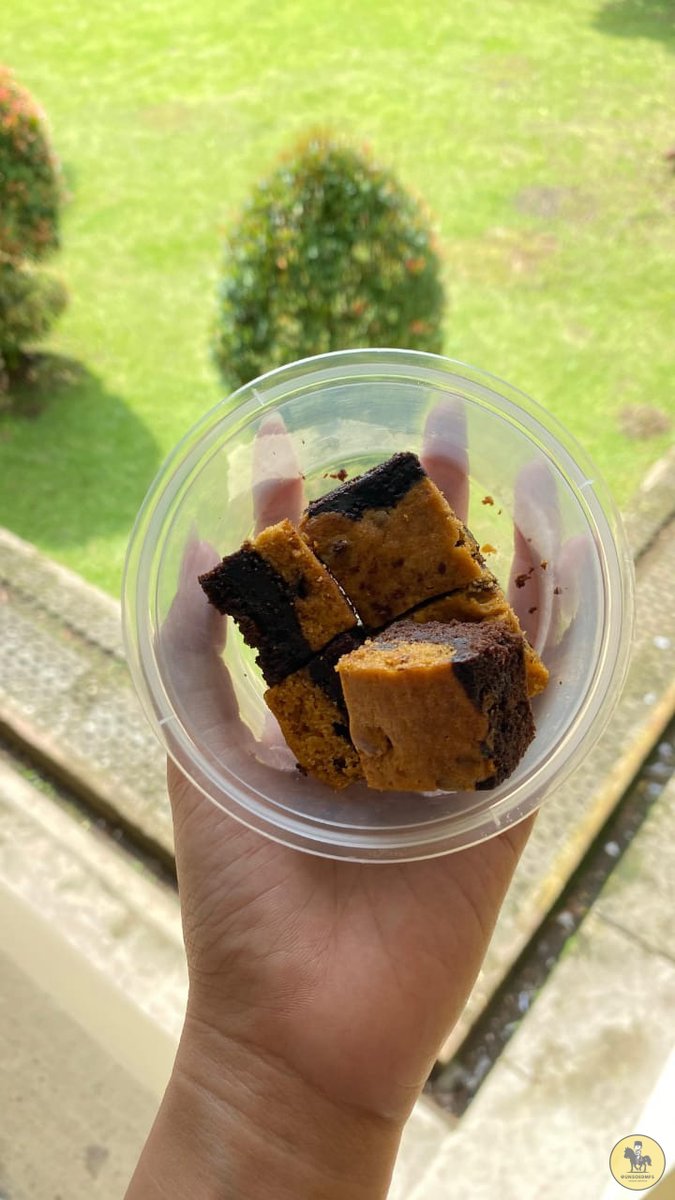 UNSOEDFESS | BASE UNSOED tweet media