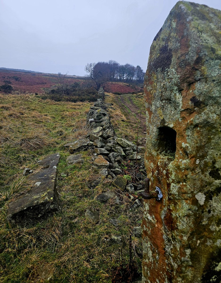 the peak district viking tweet media