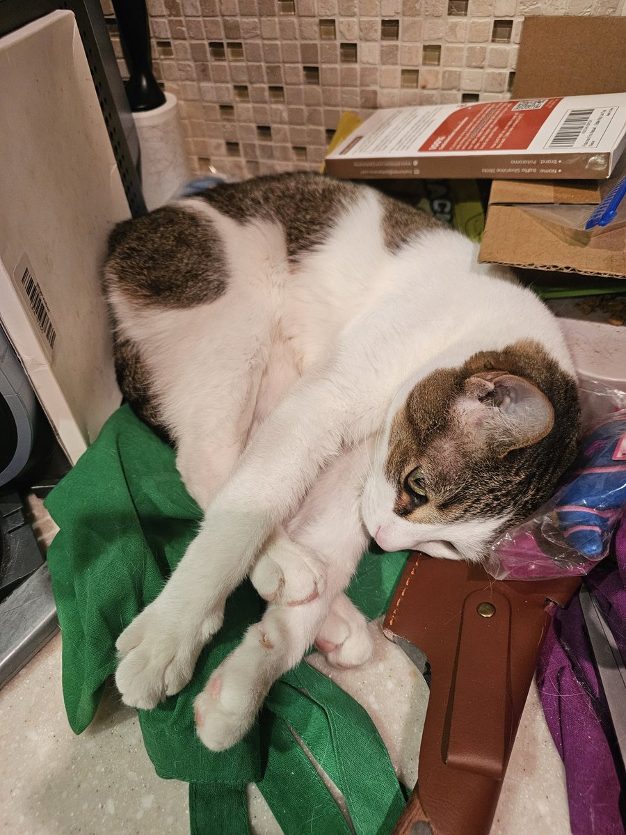 Ringo🌈, Neeko, Aether, Daxter, Sea Bass tweet media