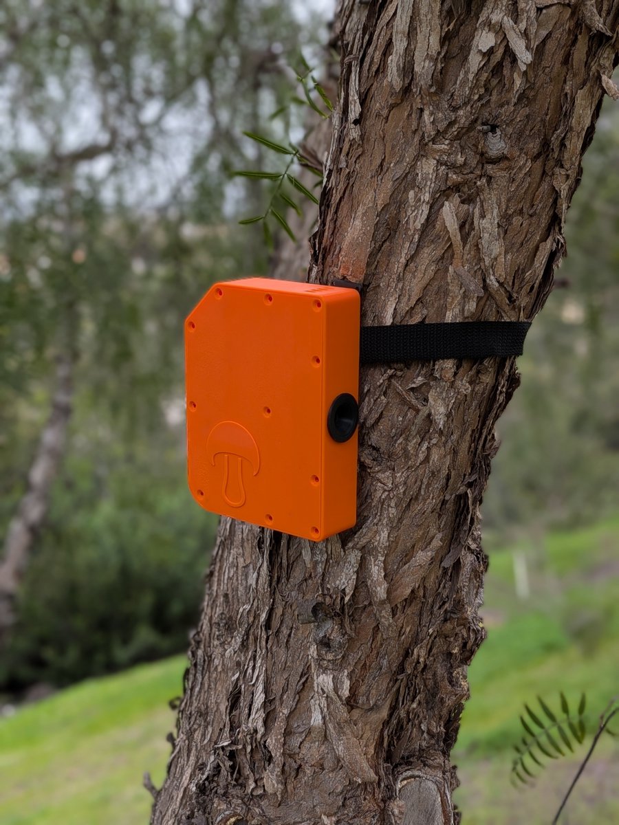 Mycosoft tweet media