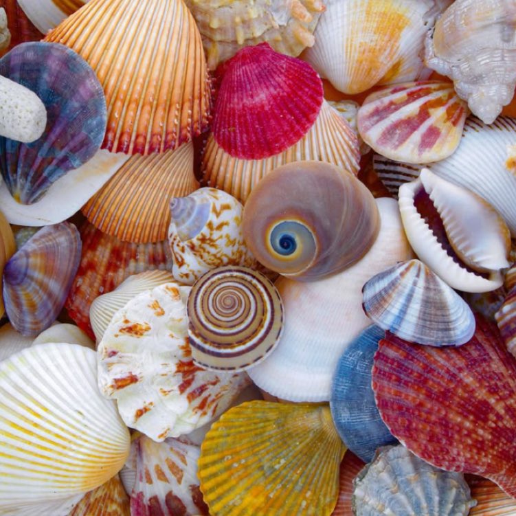 caity💋 tweet media